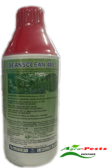 Picture of Beansclean