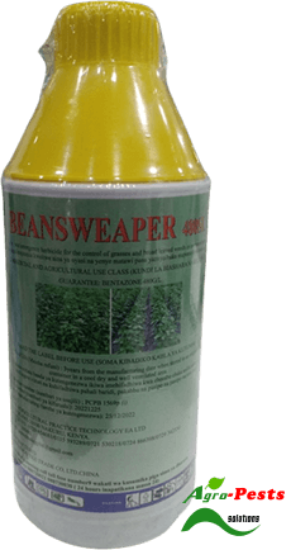 Picture of Beansweeper