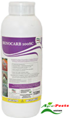 Picture of benocarb insecticide