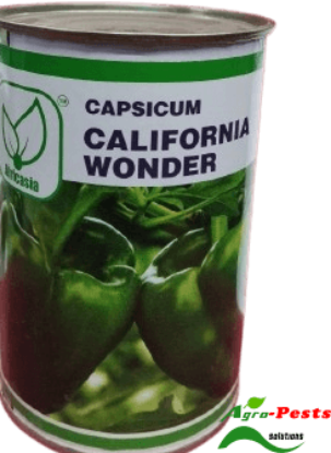 Picture of Californina Wonder Afri