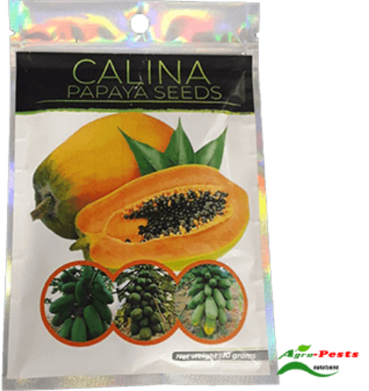 Picture of Calina
