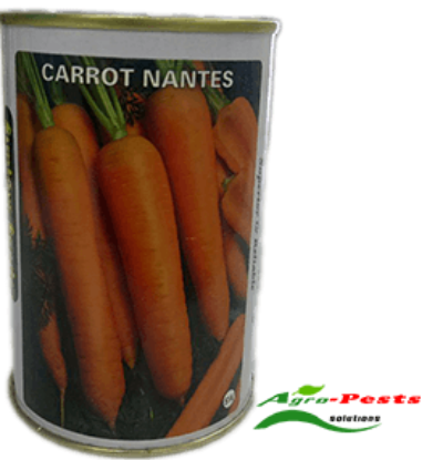 Picture of Carrot Nantes