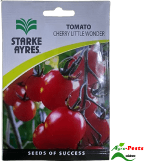 Picture of Cherry little wonder