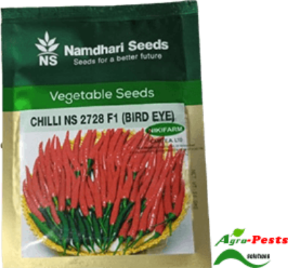 Picture of Chilli NS 2728 (Bird Eye)