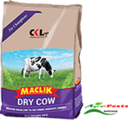 Picture of ckl-Maclik-DRY-COW