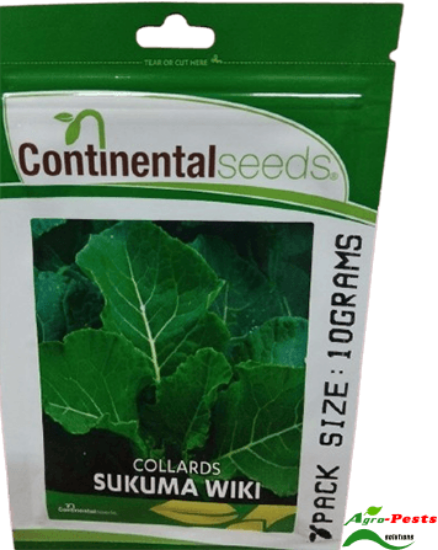 Picture of Collards Sukuma Wiki Cont