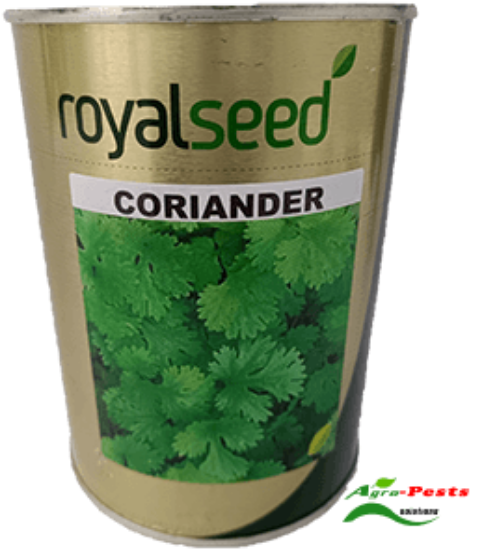 Picture of Coriander Royal Seed