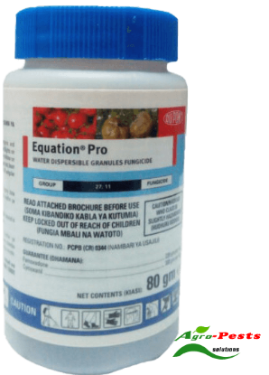 Picture of Equation pro