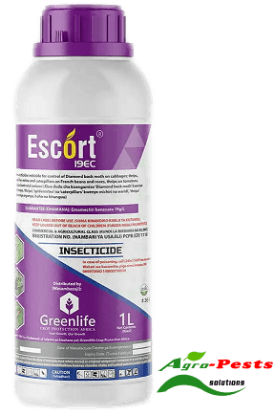 Picture of Escort