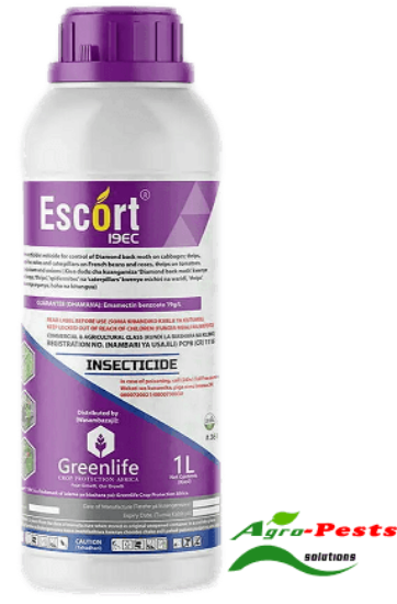 Picture of Escort