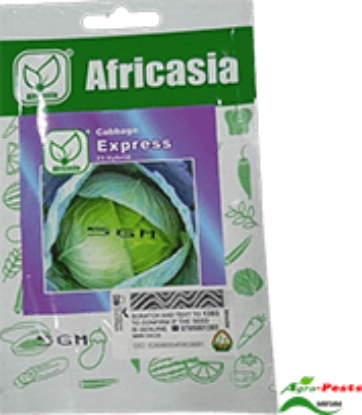 Picture of Express F1 Cabbage