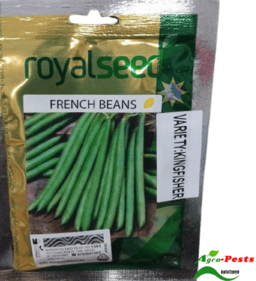 Picture of French Beans Kingfisher