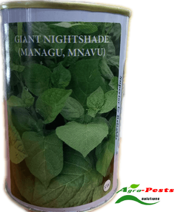 Picture of Giant Night Shade (Managu,Mnavu)