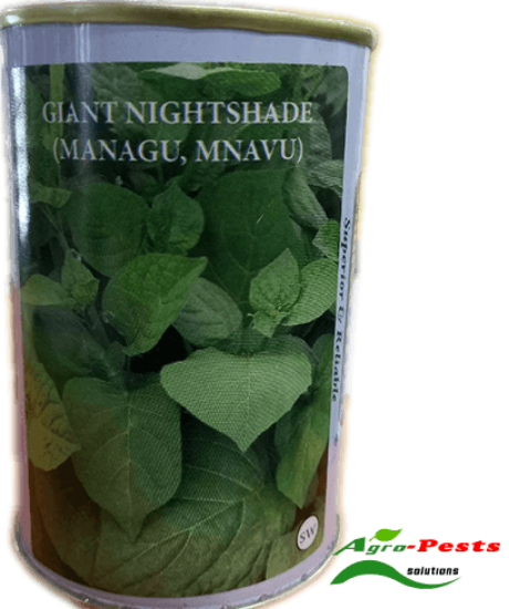 Picture of Giant Night Shade (Managu,Mnavu)