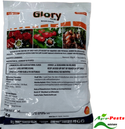 Picture of Glory
