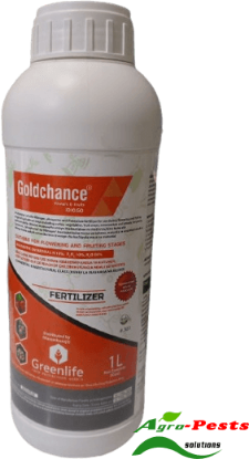 Picture of Goldchance F&F