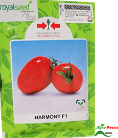 Picture of Harmony F1