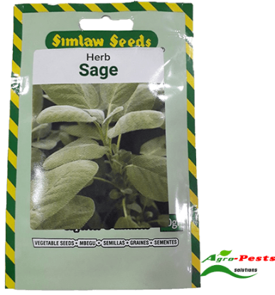 Picture of Herb Sage