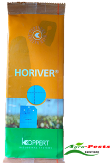 Picture of Horriver Blue traps