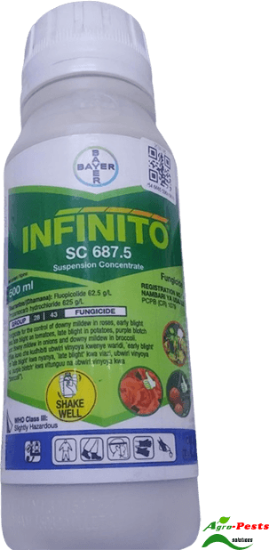 Picture of Infinito 500ml