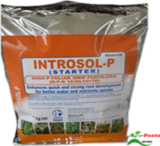 Picture of Introsol P