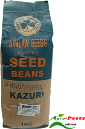 Picture of Kazuri Nyota Beans
