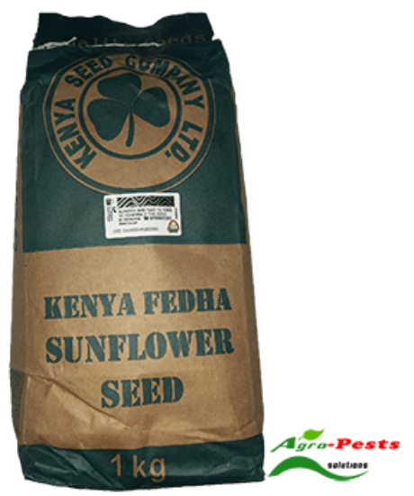 Picture of Kenya Fedha Sunflower 1kg