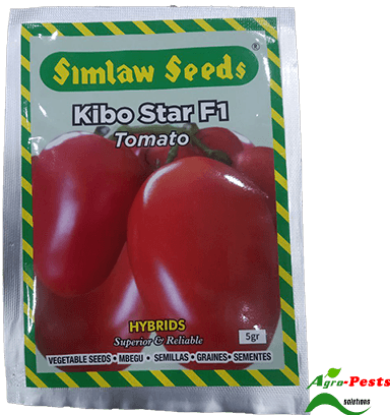 Picture of Kibo Star F1