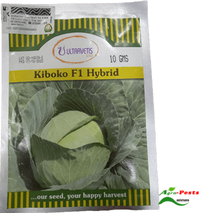 Picture of Kiboko F1 Hybrid