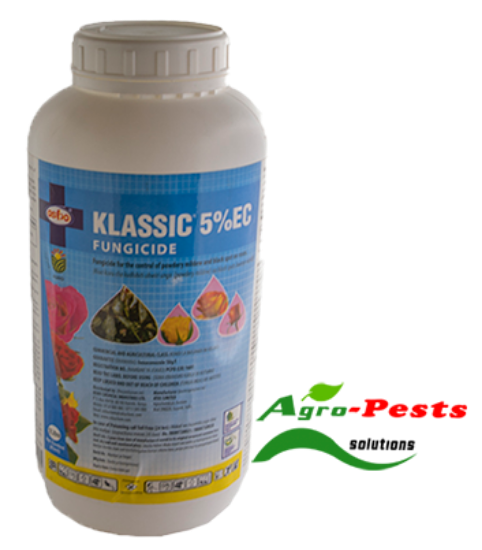 Picture of Klassic