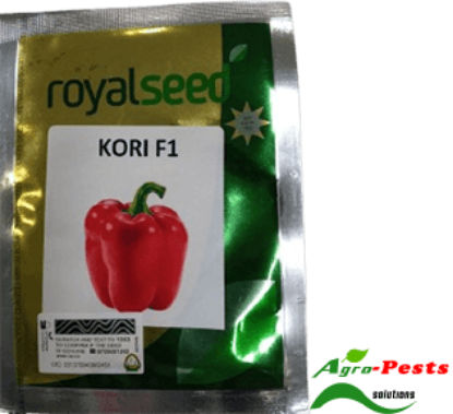 Picture of Kori F1