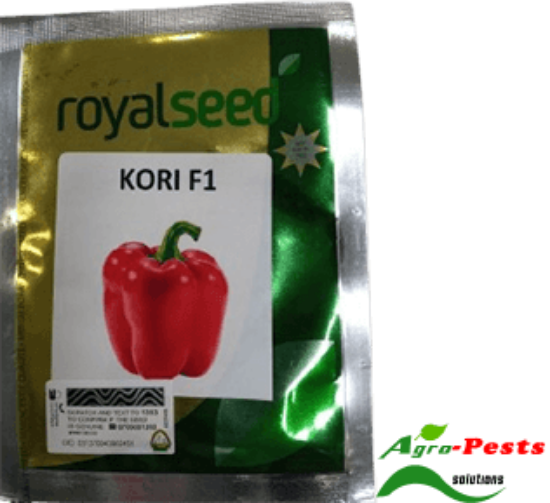 Picture of Kori F1