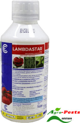 Picture of Lambdaster 5_EC