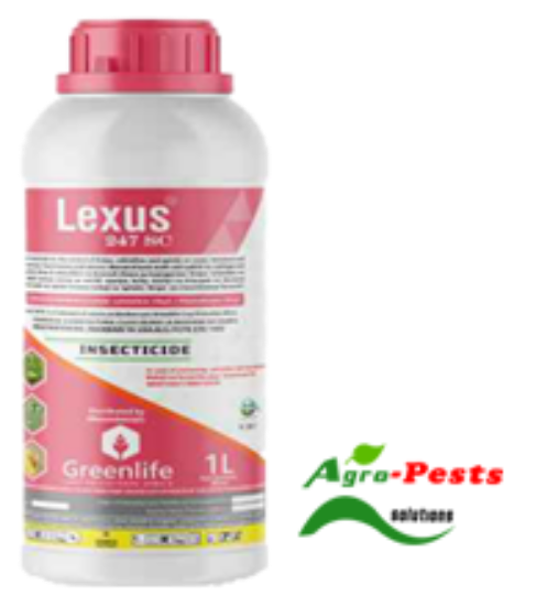 Picture of Lexus