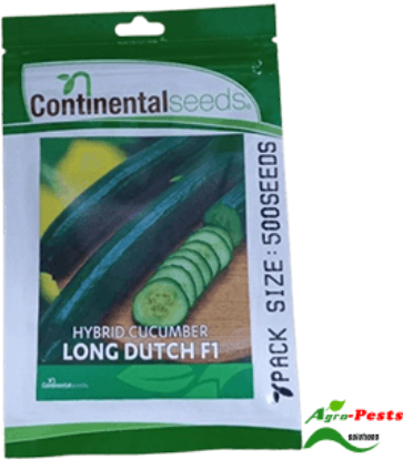 Picture of Long Dutch F1