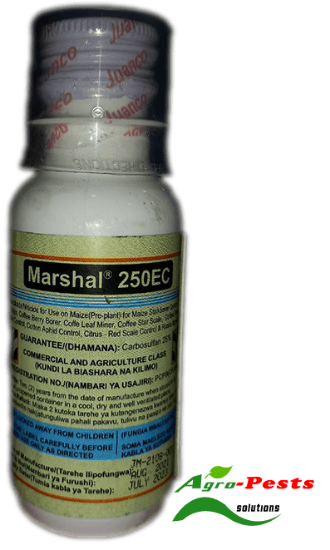 Picture of Mashal 250EC