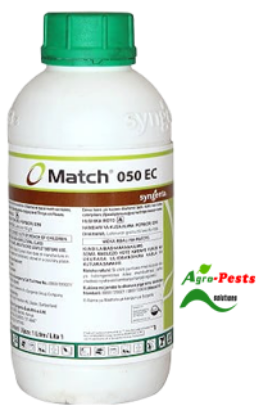 Picture of Match