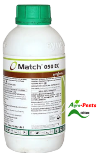 Picture of Match