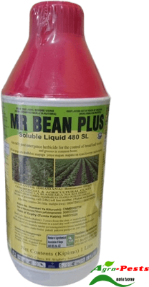 Picture of Mr Bean Plus