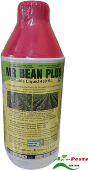 Picture of Mr Bean Plus