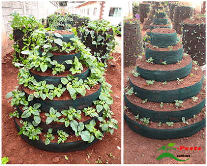 Picture of Multistorey garden farming