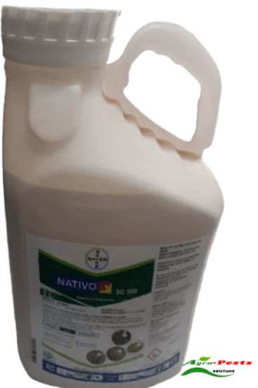Picture of nativo 5L