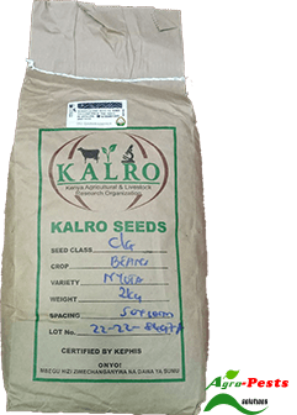 Picture of Nyota beans Kalro