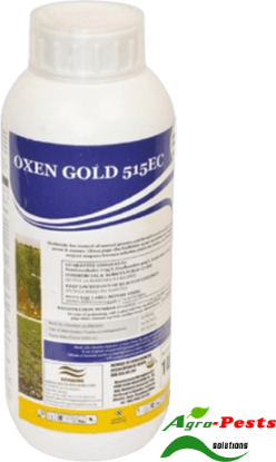 Picture of Oxen Gold