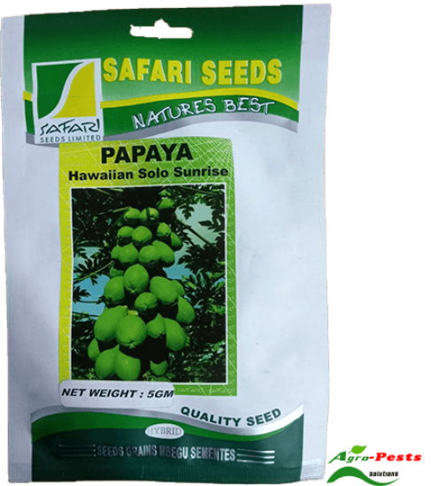 Picture of Papaya Hawaiian Solo Sunrise