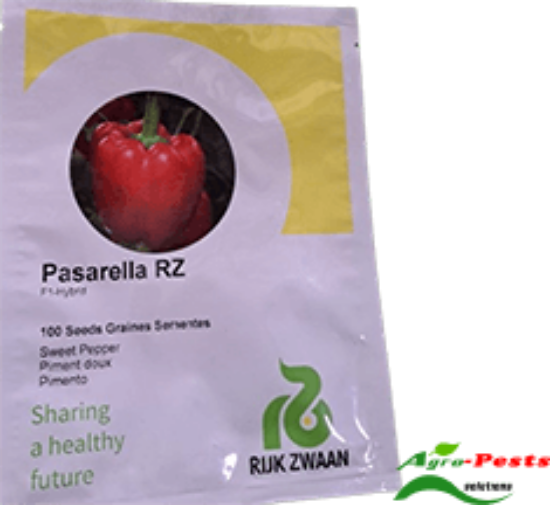 Picture of Pasarella RZ Red Capsicum