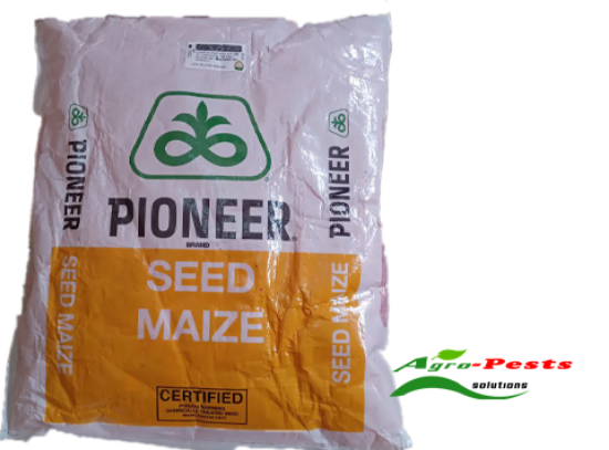 Picture of Pioneer 2Kg