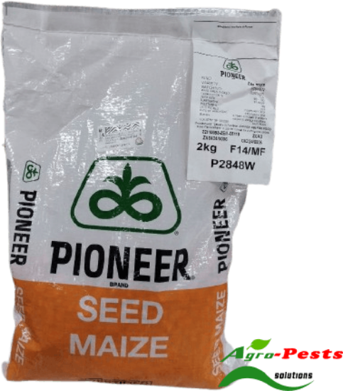 Picture of Pioneer P2848W