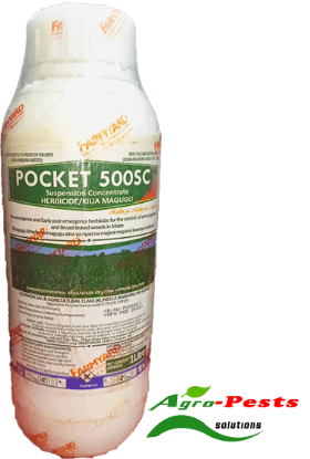 Picture of Pocket 500SC