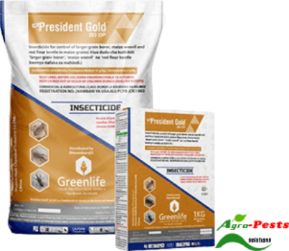 Picture of President Gold